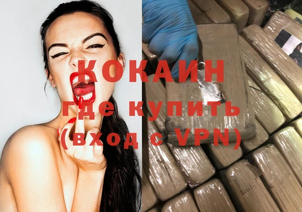 мет Новозыбков