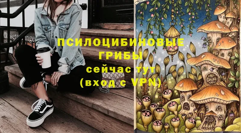 Галлюциногенные грибы Psilocybine cubensis Мичуринск