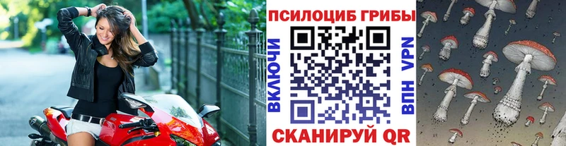 даркнет состав  мега ссылка  Мичуринск  Псилоцибиновые грибы MAGIC MUSHROOMS 