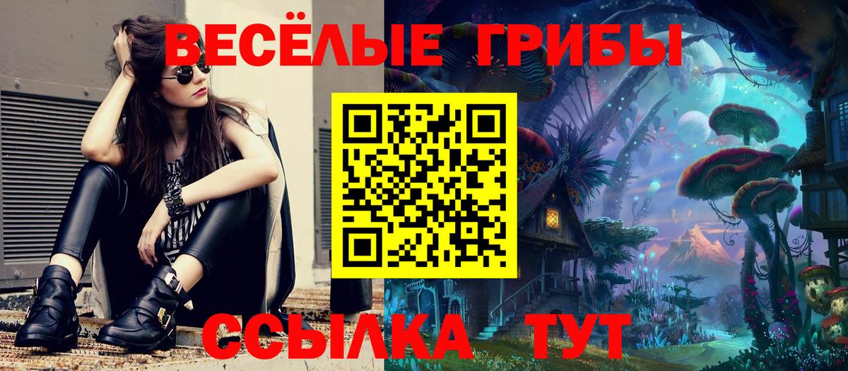 Галлюциногенные грибы Cubensis Мичуринск
