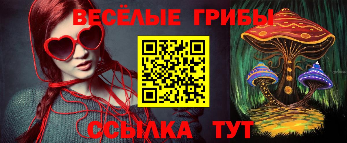 Мичуринск  Псилоцибиновые грибы GOLDEN TEACHER  Вход с VPN 